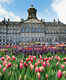 Dam Square