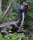 Jurassic Forest
