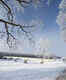 Experience Winnipeg&rsquo;s winter wonderland
