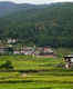 Punakha