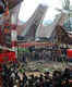 Torajan Funeral Ceremony, Sulawesi