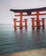 The floating torii