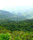 Monteverde Cloud Forest