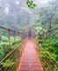 Monteverde Cloud Forest