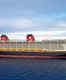 Disney Cruise Line