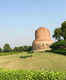 Dhamek Stupa