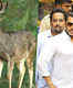 Salman Khan Chinkara Case: The religious importance of Chinkaras for the Bishnoi community of Rajasthan