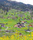 Mount Jungfraujoch