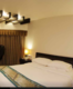 Sayaji Hotel