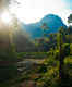 Khao Sok National Park