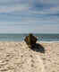 Maravanthe Beach