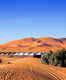 Bedouin Oasis Camp