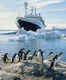 Now you can travel to Antarctica in an Indian cruise