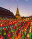 Thai Lantern Festival 2017 to be celebrated on November 3