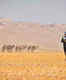 Oman Desert Marathon to start from November 17; promises lifetime experiences