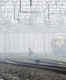 New Trinetra device to enable efficient running of trains in dense fog