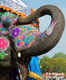 Elephant Festival begins in Nepal’s Chitwan district; incredible activities lined-up