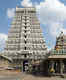 Tourist spots in Vellore and Tiruvannamalai witnessed huge footfall during Pongal