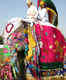 This Holi, do not miss the Elephant Festival in Jaipur