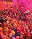 Highlights from the Holi ‘Rangotsav’ festival celebrated in Mathura
