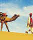 Rajasthan gears up to promote tourism in undiscovered destinations in the state