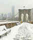 New York hits -23; Chicago turns as cold as the North Pole