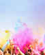 Holi parties in Pune—places that you just cannot give a miss