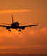 Travel update - international airfares soar & summer vacations dampen