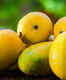 Delhi is gearing up to host the much-awaited 31st Mango Festival