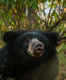 Daroji Sloth Bear Sanctuary is a fun sanctuary for all