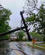 Heavy rain wreaks havoc in Karnataka; red alert in Mysore and other areas