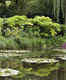 Monet's Pond is a hidden gem of Japan, find out why