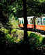 Kalka-Shimla tracks to see 3 self-propelled trains chugging till January 15, 2020
