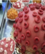 Not for the faint-hearted–Mithai shop in Kolkata makes Coronavirus saundesh for sale