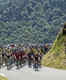 Tour de France 2020 to be postponed amid COVID-19 crisis