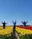 Dutch tulip farmers spread positive message with their flowers