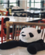 COVID-19: Guests dine in the company of cute pandas at a restaurant in Bangkok