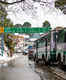 Himachal Government all set to resume bus services from June 1