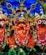 Puri: Lord Jagannath’s bathing rituals performed without devotees