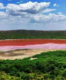 Maharashtra’s Lonar Lake turns pink; officials stunned