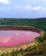 Scientists reveal why Lonar Lake in Maharashtra turned pink in colour