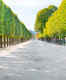 Four urban forests are to be developed in Paris