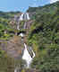 Goa’s Dudhsagar waterfalls opens to trekkers