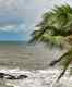 Travel advisory: Kerala on high alert as Cyclone Beruvi nears