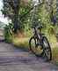 Assam's Manas National Park launches cycle safaris for tourists