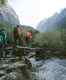 Uttarakhand: 32 more villages to be developed for trekking