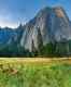 No reservation needed to visit the famous Yosemite National Park