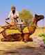 Rajasthan government to train 6000 new tourist guides