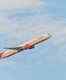 COVID-19: Air India announces waivers for those holding domestic, international tickets