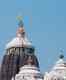 Puri’s holy Shri Jagannath Temple to open for devotees from August 16